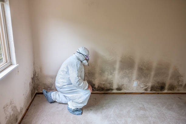 Best Crawl Space Mold Removal  in Silver Lake, KS